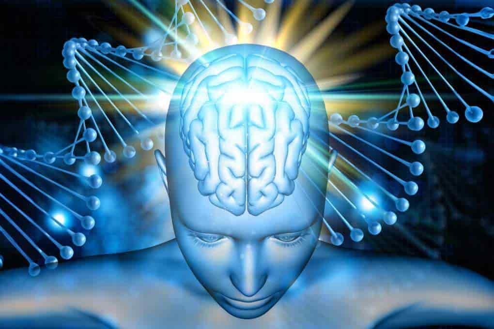 Citicoline Side Effects