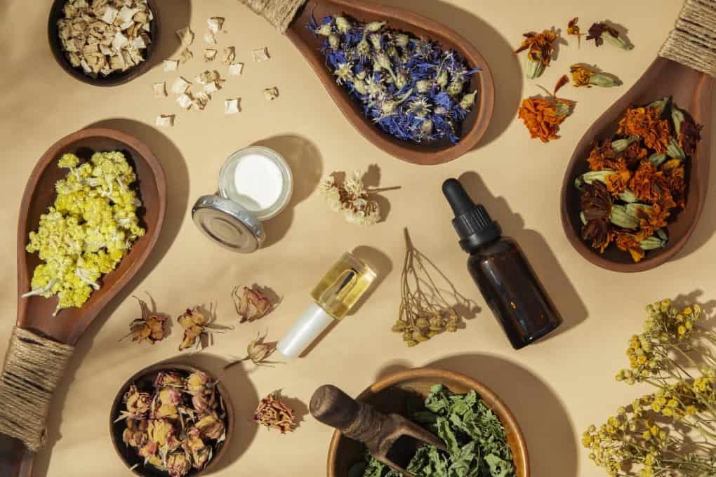 In Which Diseases Is Phytotherapy Used?