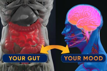 GAPS Diet