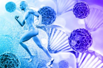 Why Does the Immune System Become Weak?