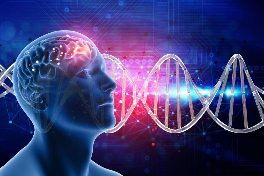 What is Citicoline?