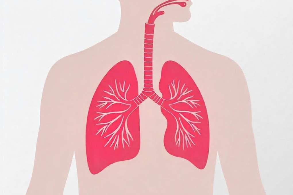 What is Respiratory Acidosis?